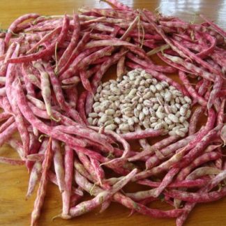 Domaći mladi grah u komoški 500g